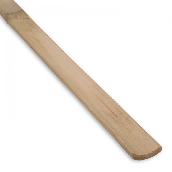 GUADUA bambusz lambéria - Image 2