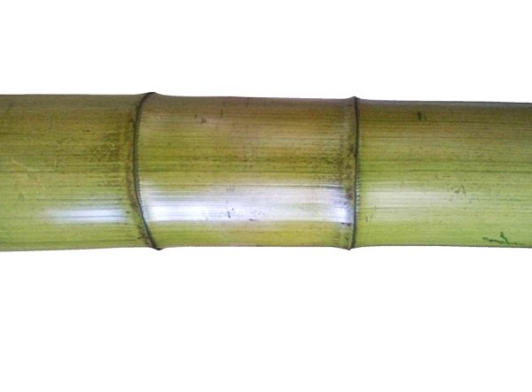 MOSO bambuszrúd - Image 8